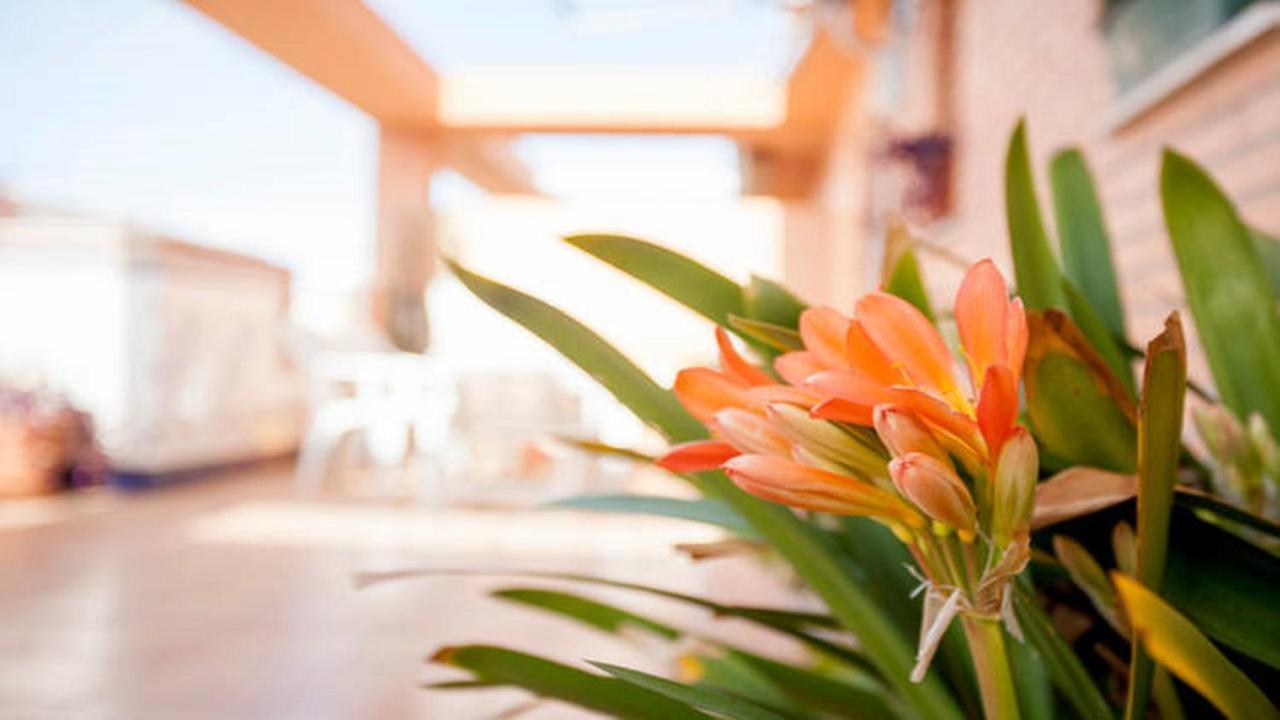 Casa Serra - Paterna - Apartamento Alquila 3 Habitaciones Con Garaje ภายนอก รูปภาพ